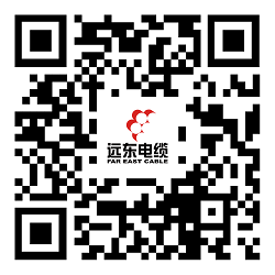 远东电缆有限公司